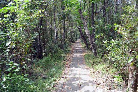 Kumarakom Bird Sanctuary