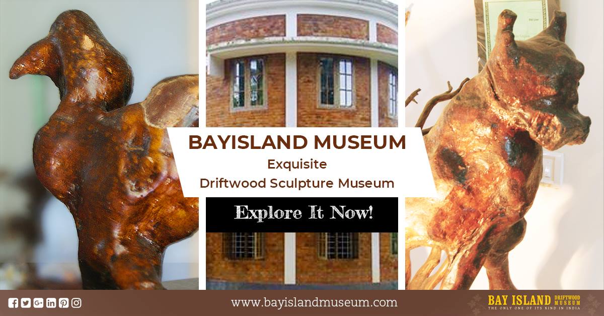 Bay Island Driftwood Museum